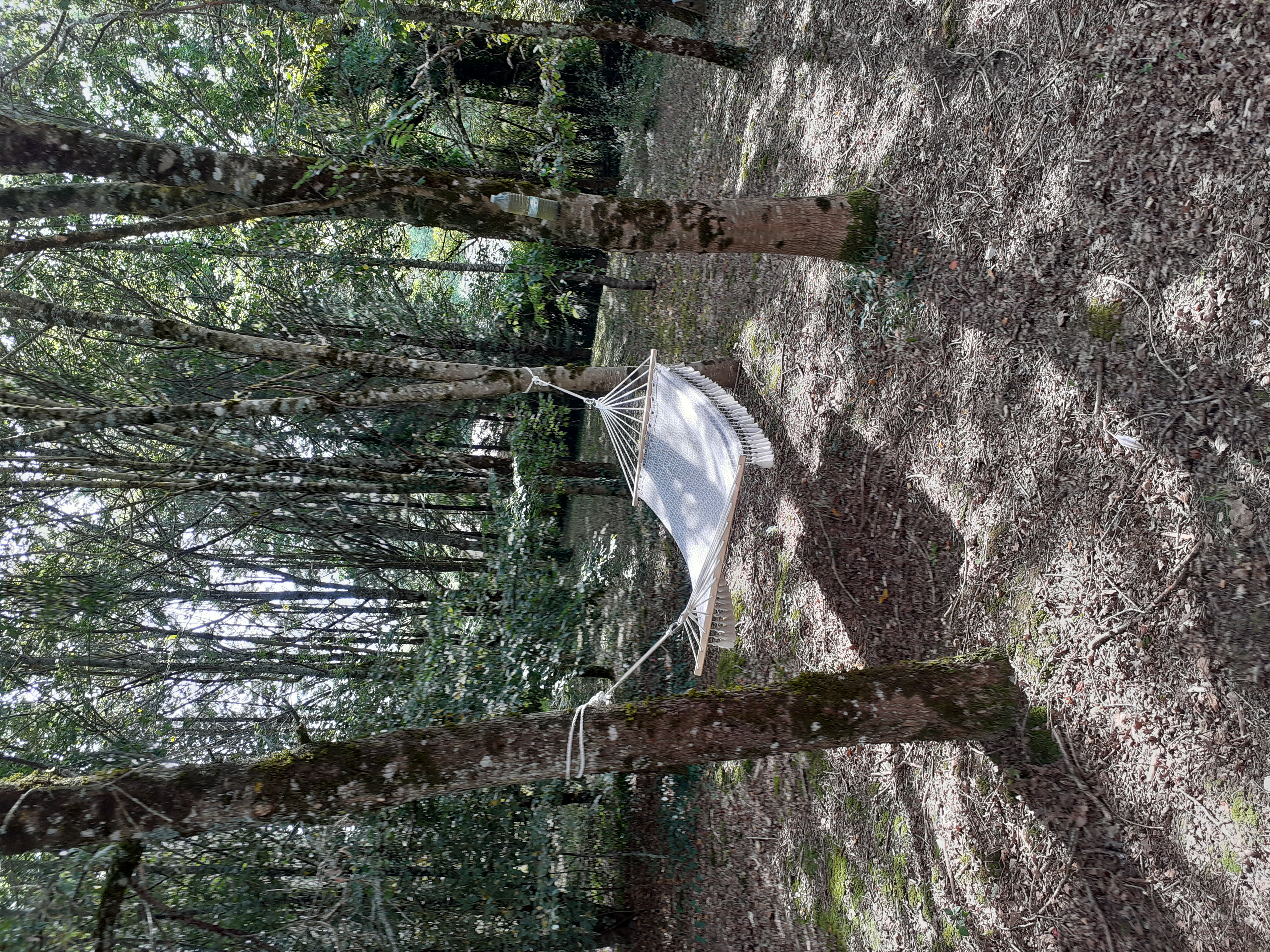 Le Petit Bois, Lavergne - photo 23