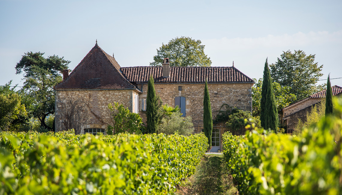 Château Cantelauze - Mezy