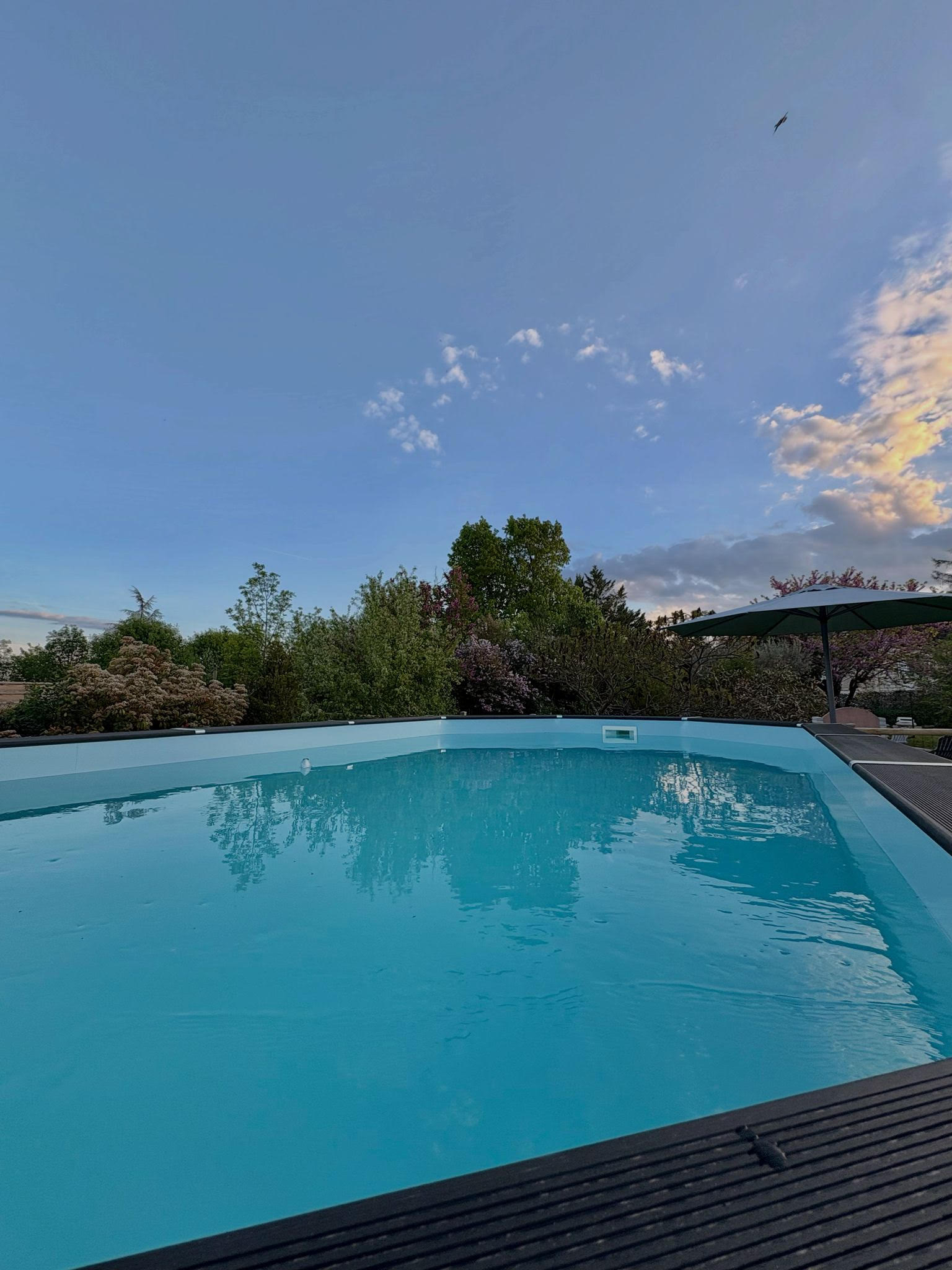 Le Petit Gîte Cieuracois, Cieurac - photo 14