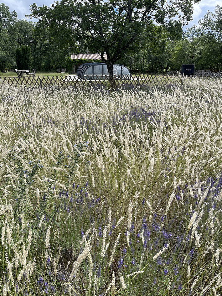 Domaine de Moulin - Phare, Puyjourdes - photo 16