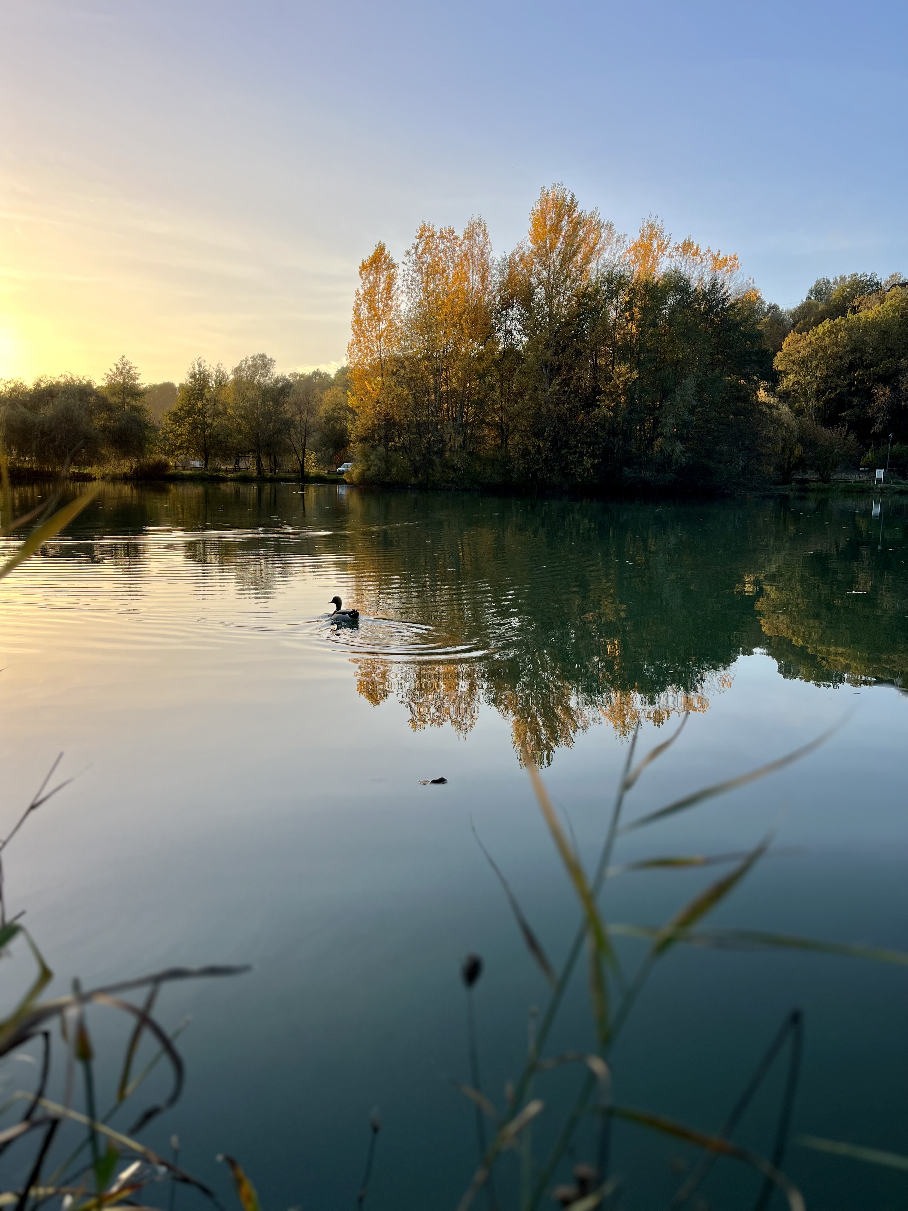 Pont Valentré et le Lot, Caillac - photo 8