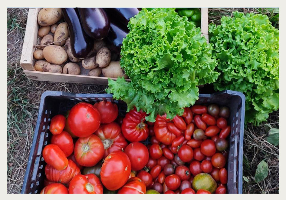 Atelier "Potager" aux pépinières Passedat