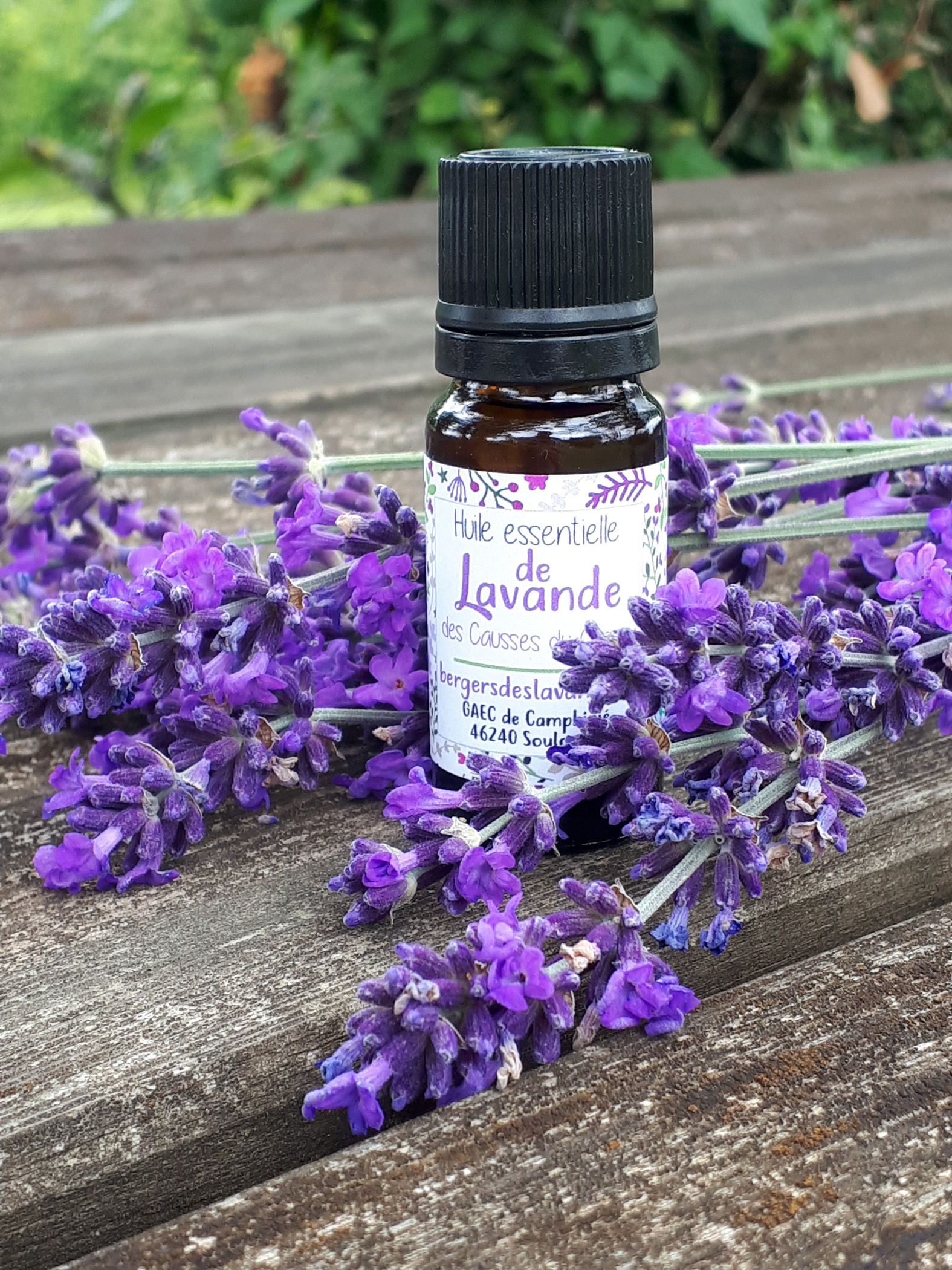 Journée portes ouvertes des Bergers des lavandes, Blars - photo 5