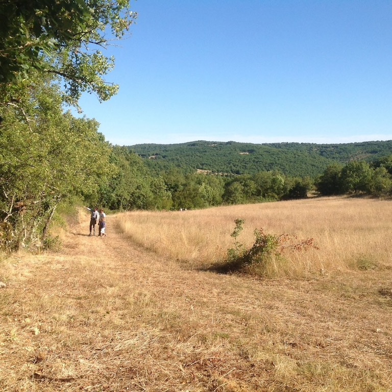Domaine Des Roches, Corn - photo 32