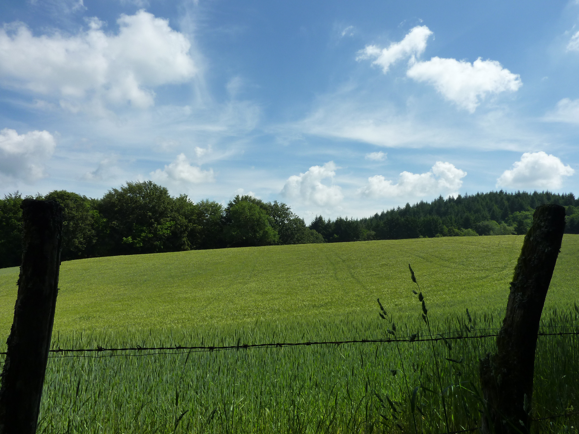 Les Jardins du Ségala, Sousceyrac-en-Quercy - photo 20