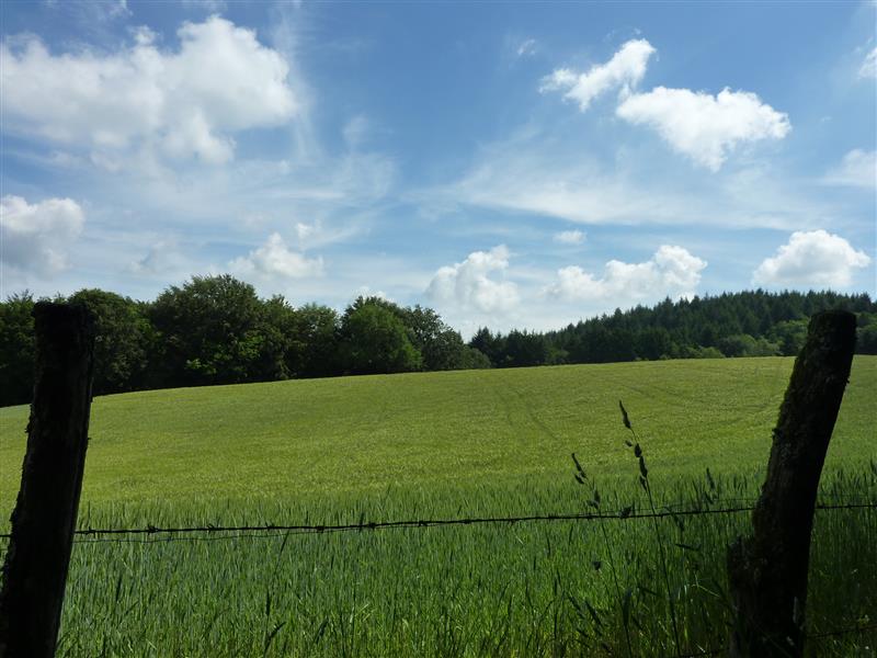 Puech d'Alau_03 © Lot Tourisme - C. Sanchez
