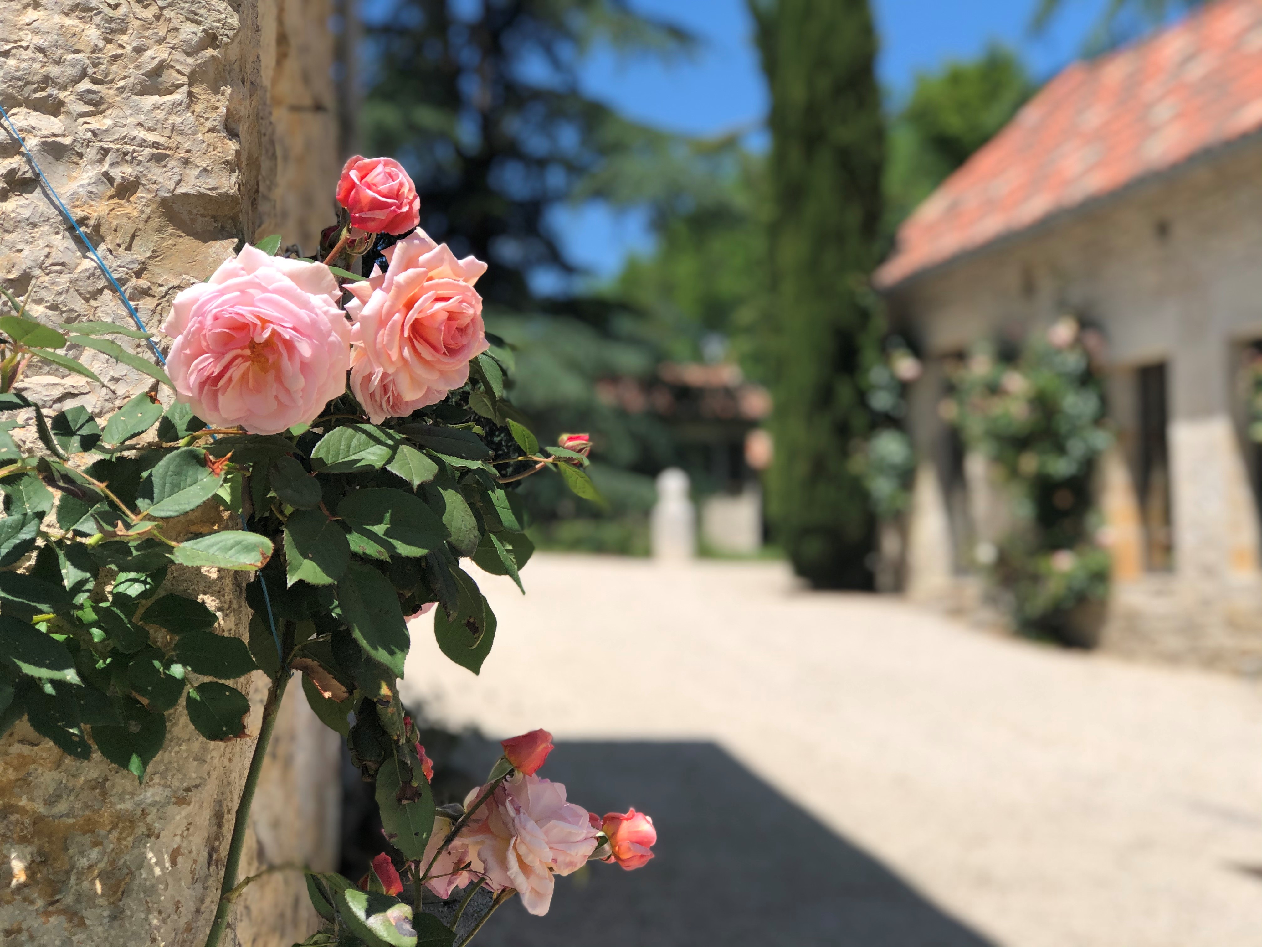 Domaine de Labarthe - Chambres d'hôtes, Espère - photo 18
