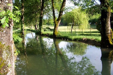 Le Moulin - Moulin de Gauliac, Lamothe-Fénelon - photo 2