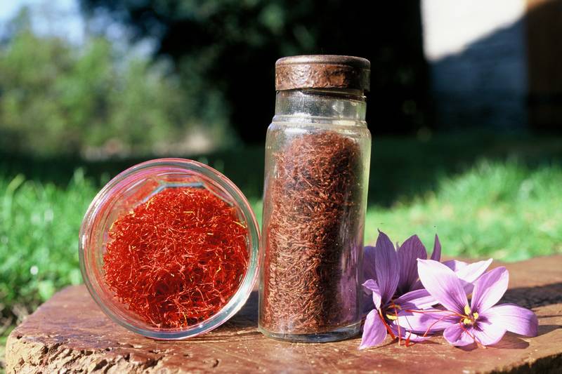 Safran du Domaine de Miroulet