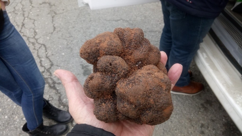 Restaurant Le Central, Gourdon - photo 6