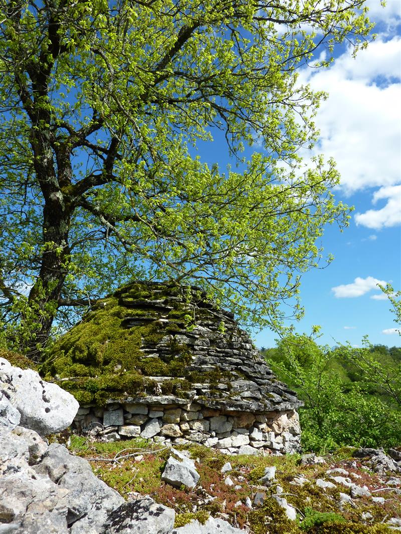 Reyrevignes - Gariotte jonchée sur le causse_08 © Lot Tourisme - C. Sanchez