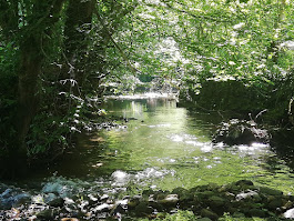 Gîte La Belle Vie, Viazac - photo 13