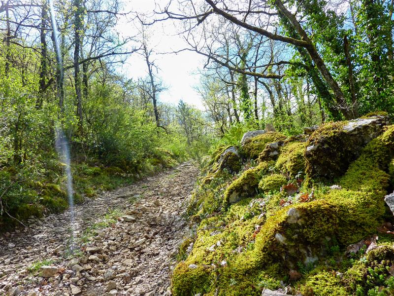 Rocaille - Montée sur le combe de Girons © Lot Tourisme - C. Sanchez