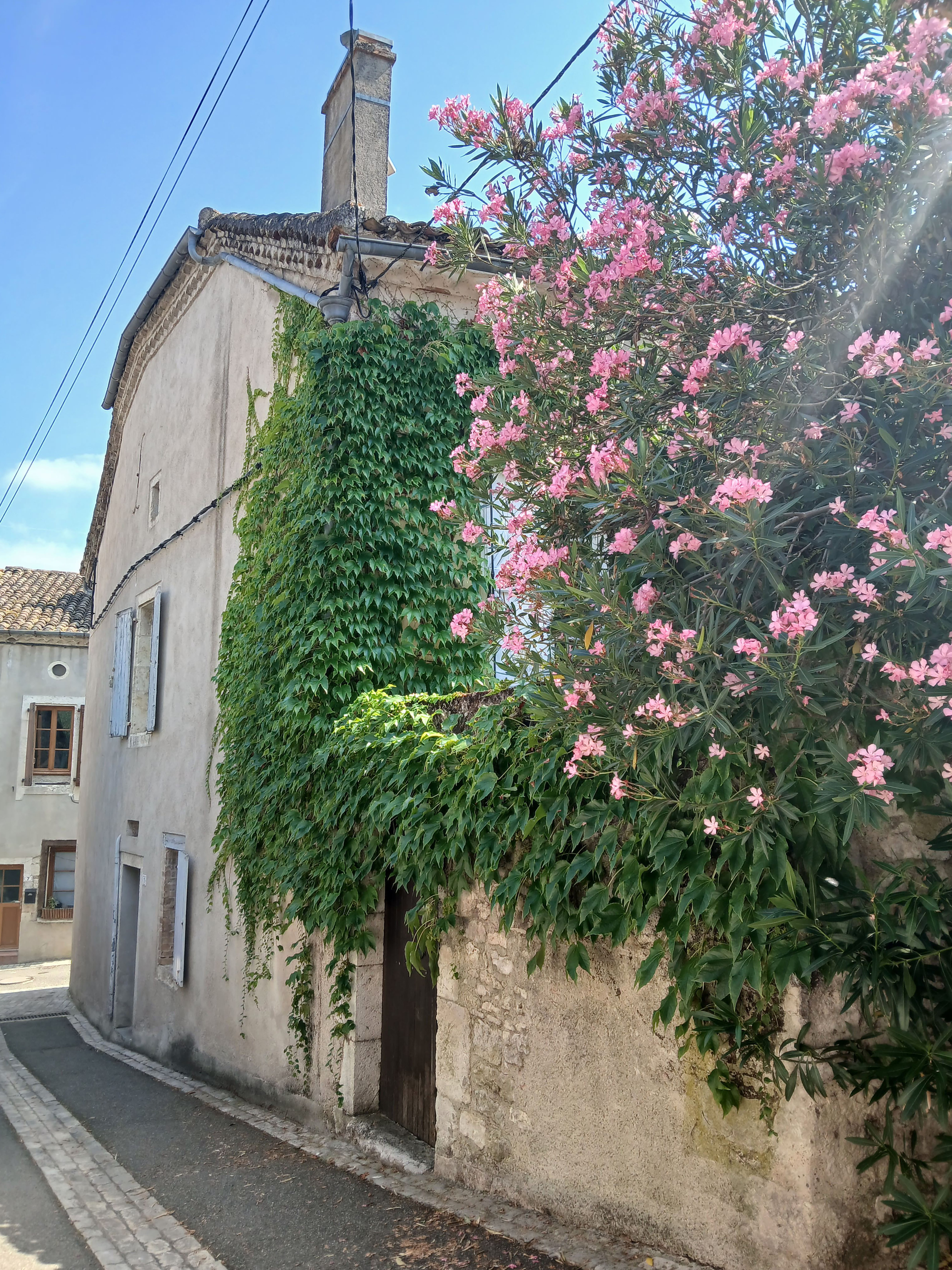 Maison Charlotte, Montcuq-en-Quercy-Blanc - photo 9