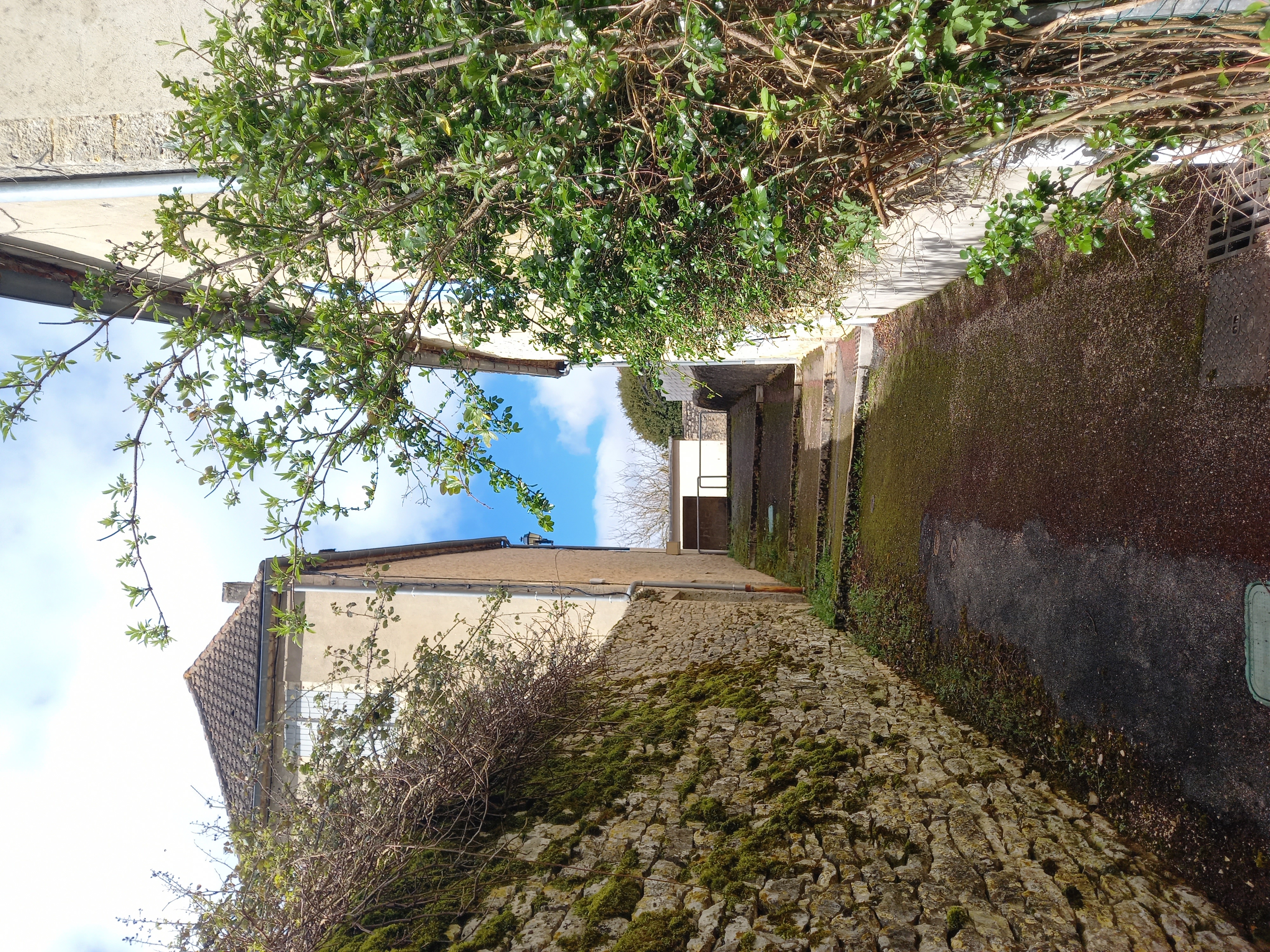 Causalis, Montfaucon - photo 50