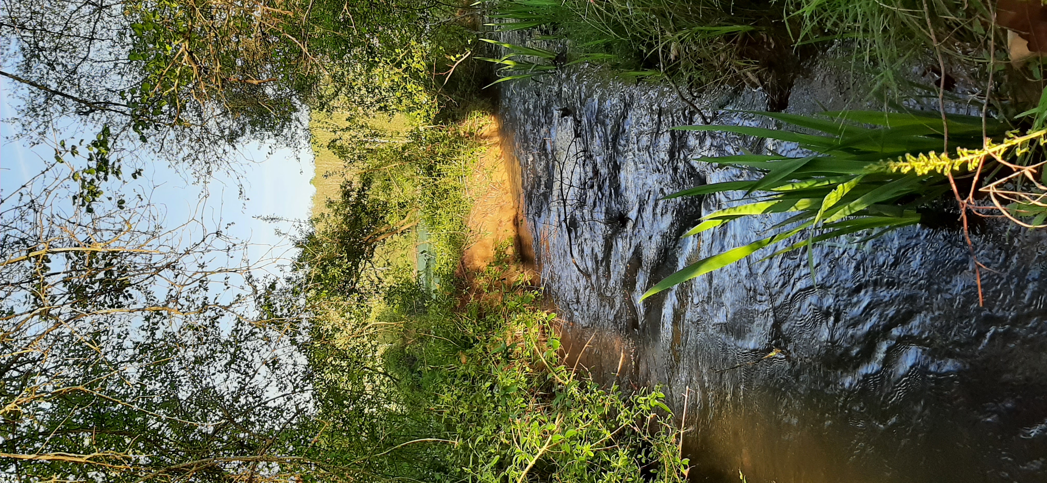 Gîte de Moulin Bas, Gourdon - photo 14