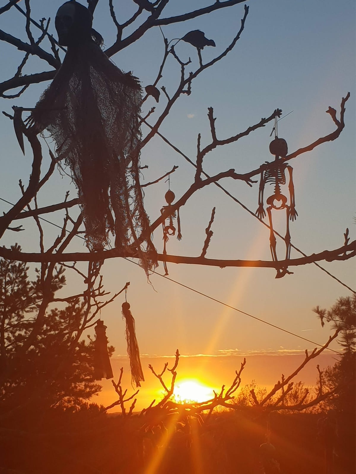 Rusty Shears, Lacapelle-Cabanac - photo 59