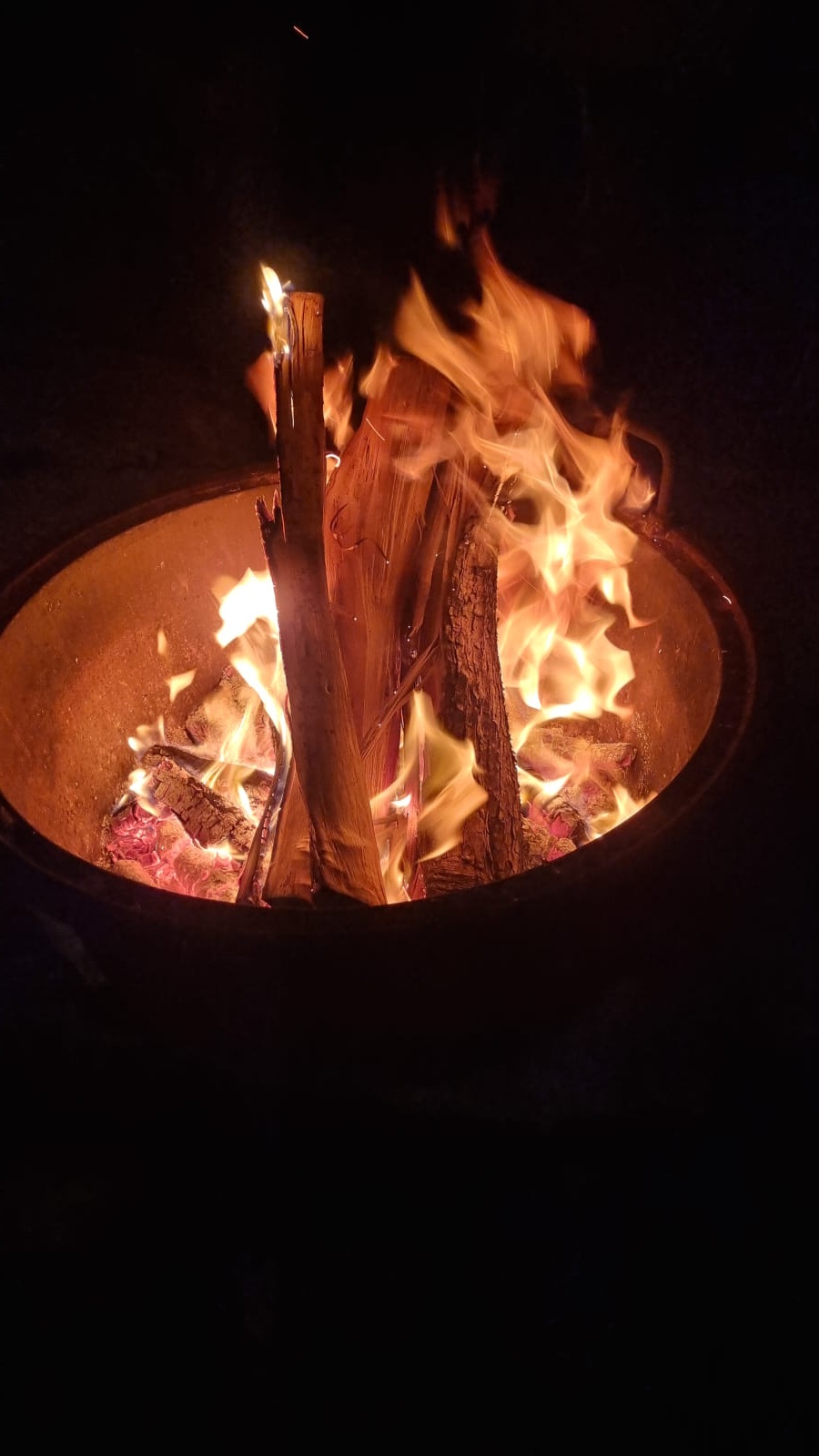 Rusty Shears, Lacapelle-Cabanac - photo 60