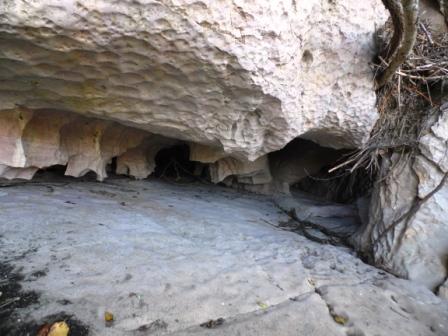 Guide de Rivière Nature en Canoë, Vayrac - photo 10