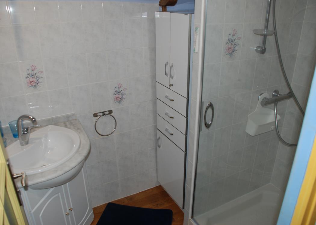 Salle de bain avec vasque/meuble et grande douche avec paroi