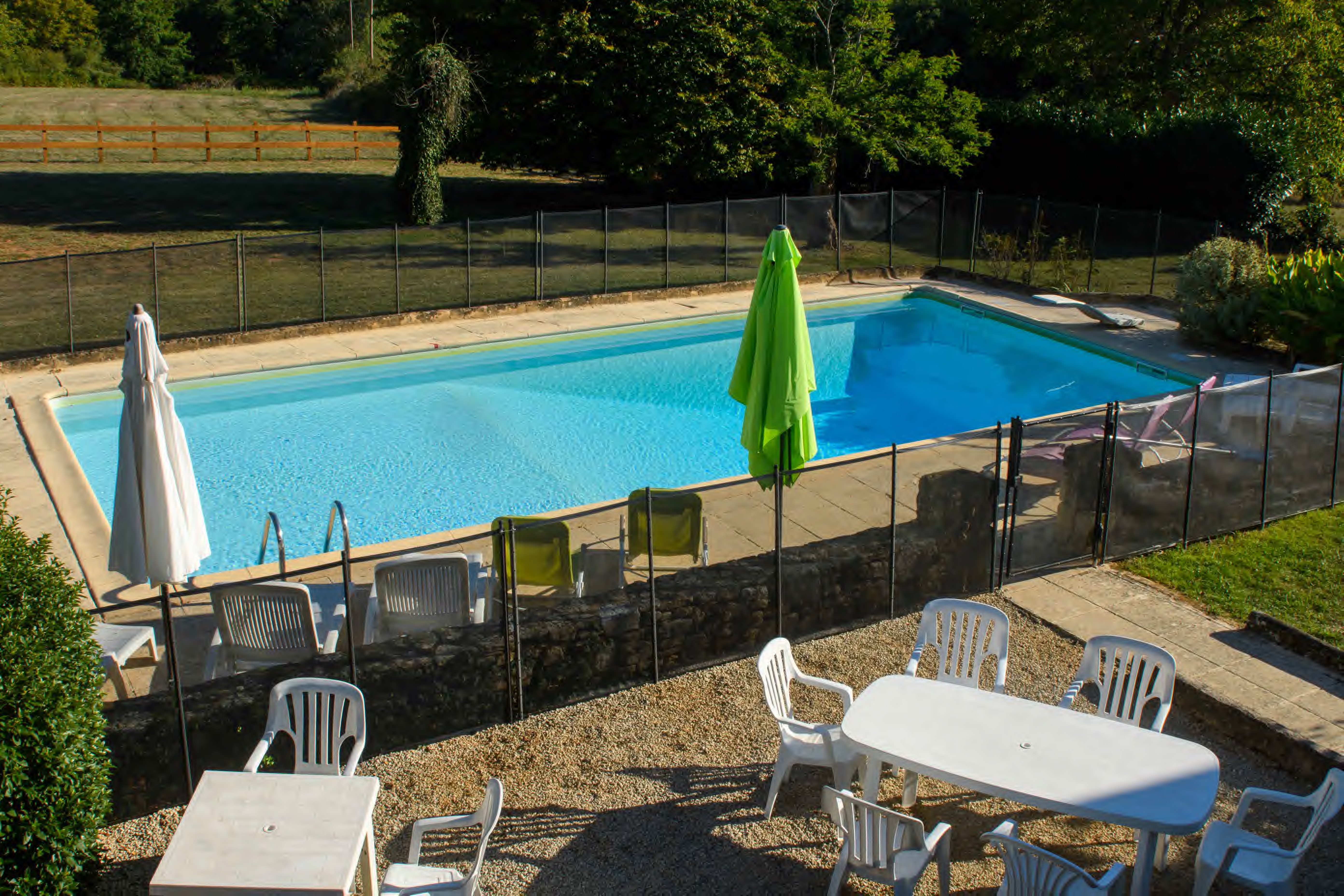 Le Petit Manoir de Malbernat : Tournesol