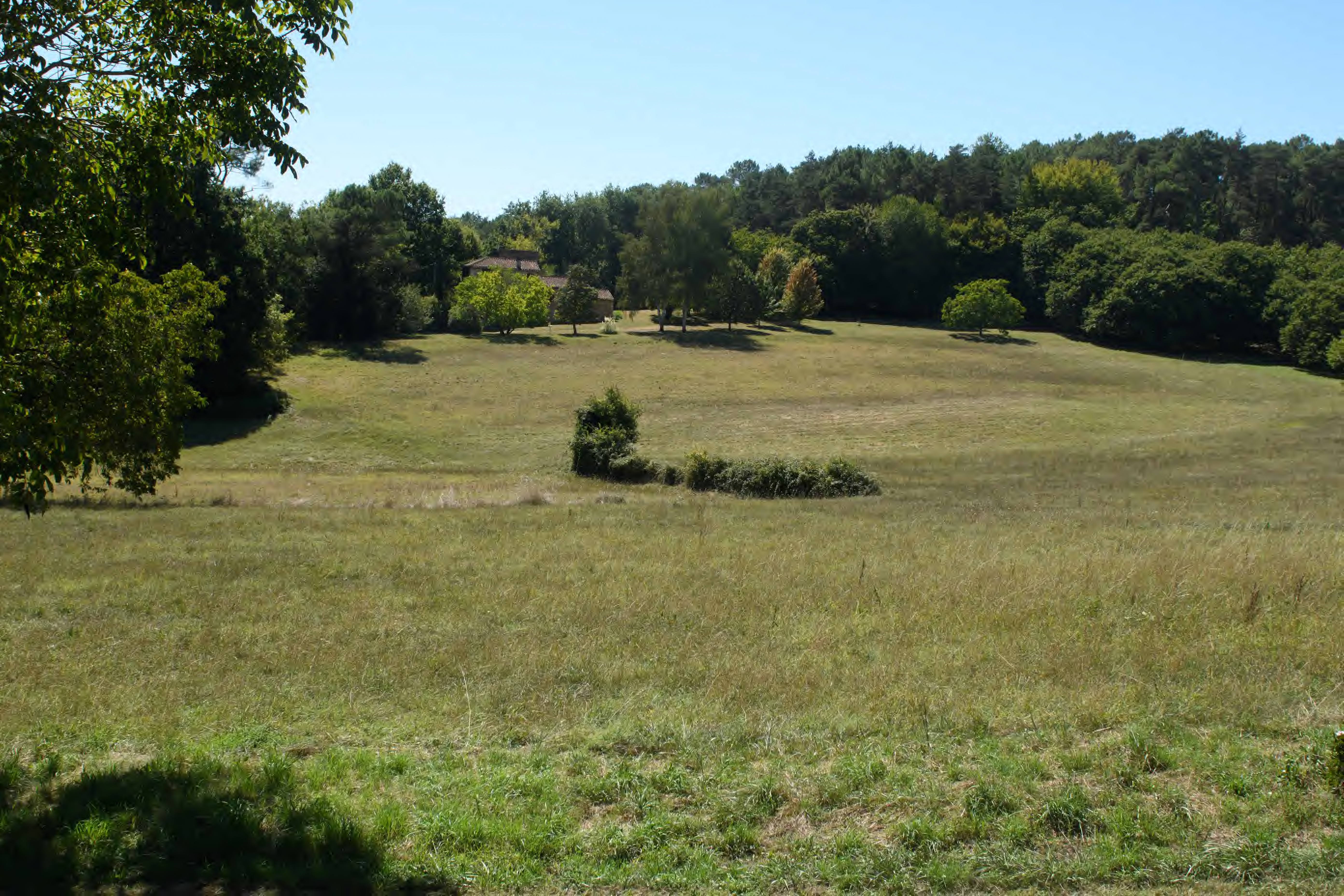 Le Petit Manoir de Malbernat : Tournesol, Frayssinet-le-Gélat - photo 12