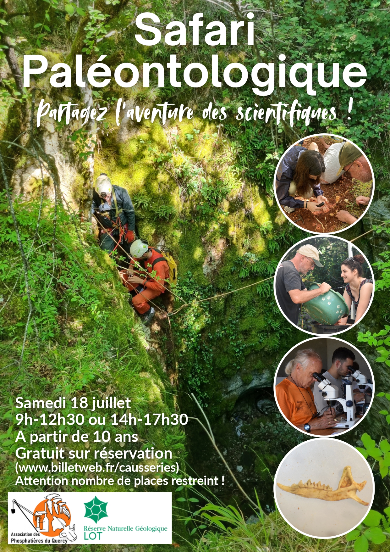 Safari paléontologique