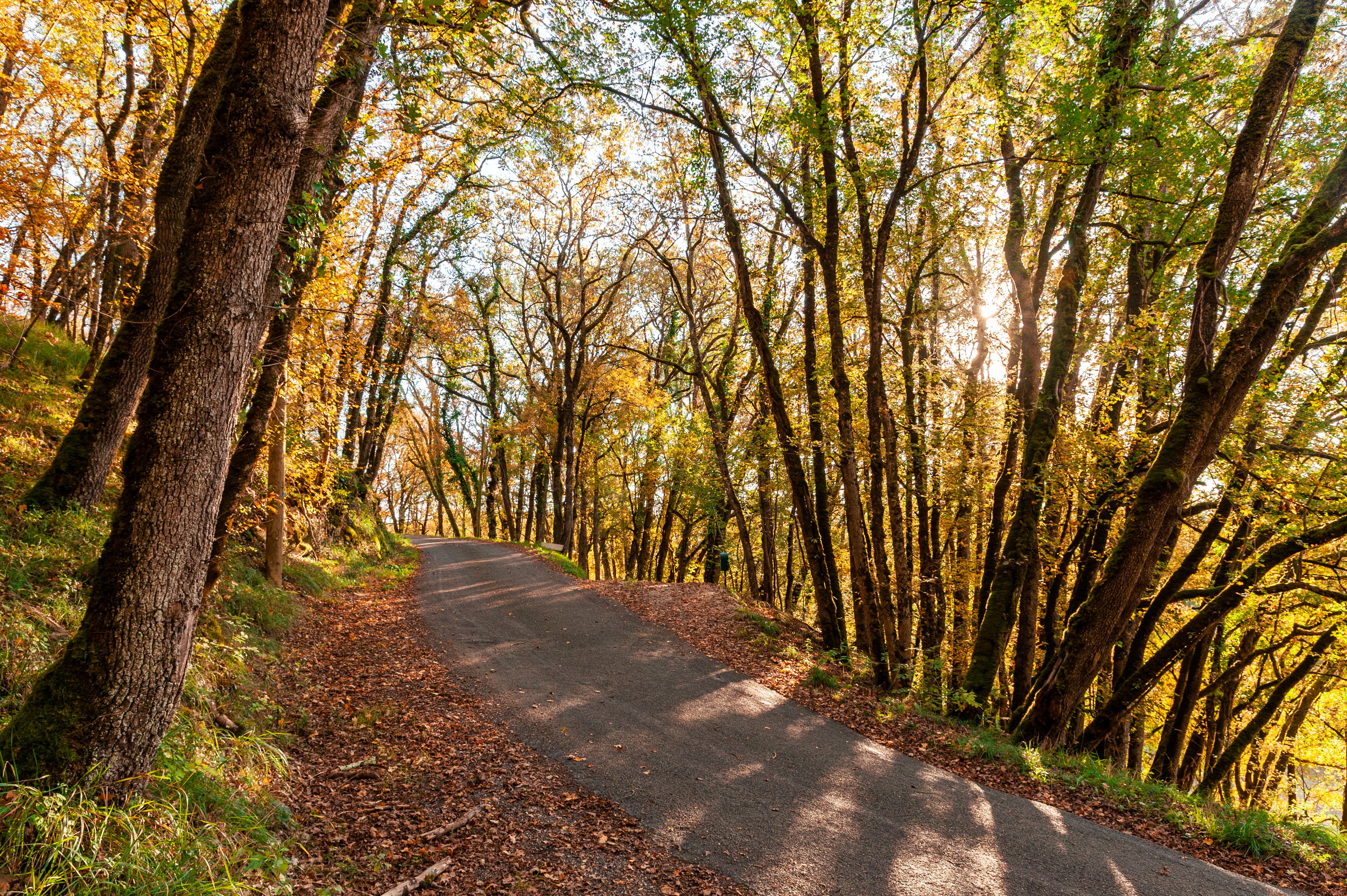 Excursion au Coeur de la Bouriane, Saint-Germain-du-Bel-Air - photo 4