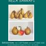 Sans titre 10 copie_page-0001