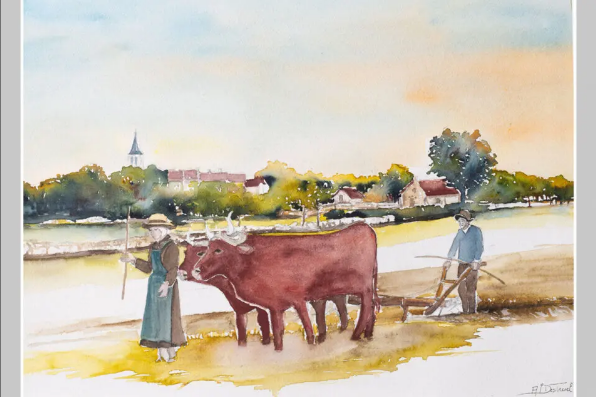 Projection "Paysan du Ségala" à Saint-Cirgues