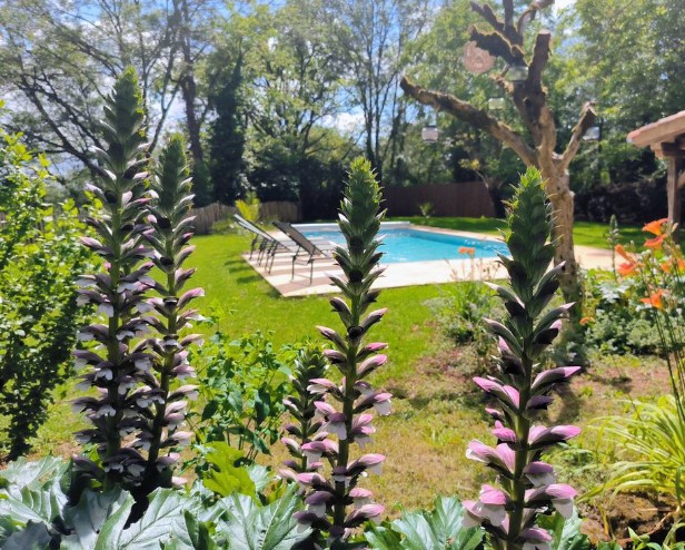 Gîte du Tilleul, Faycelles - photo 13