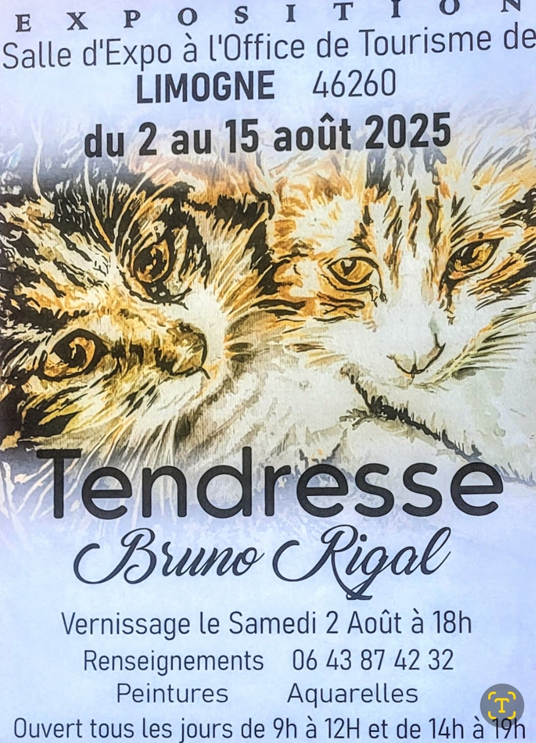 Exposition de Bruno Rigal - Tendresse