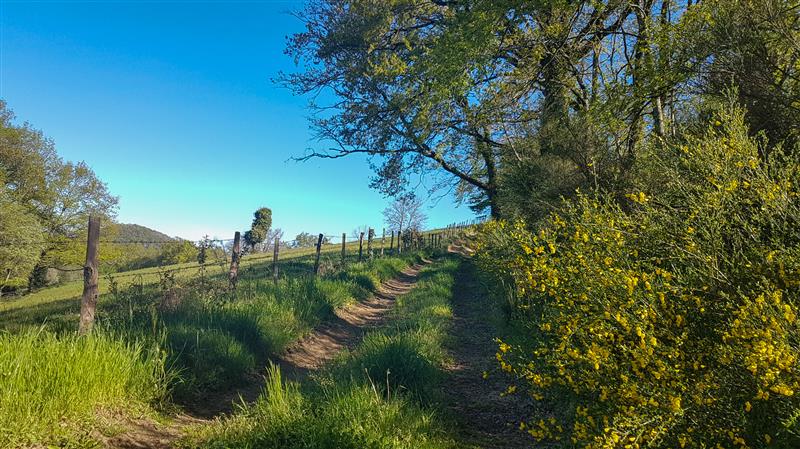 Sentier de Teyssieu à Estal