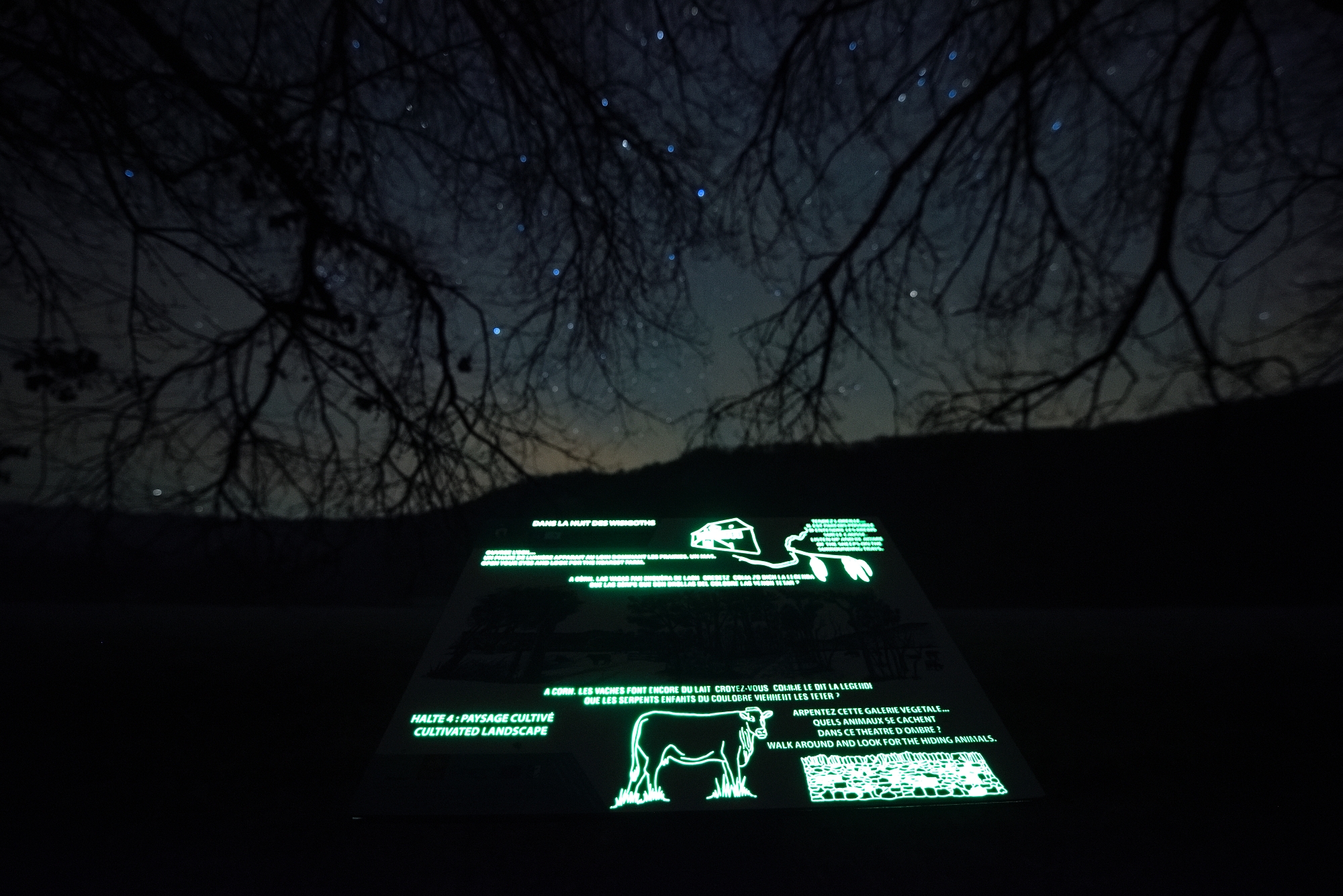 Sentier nocturne Corn