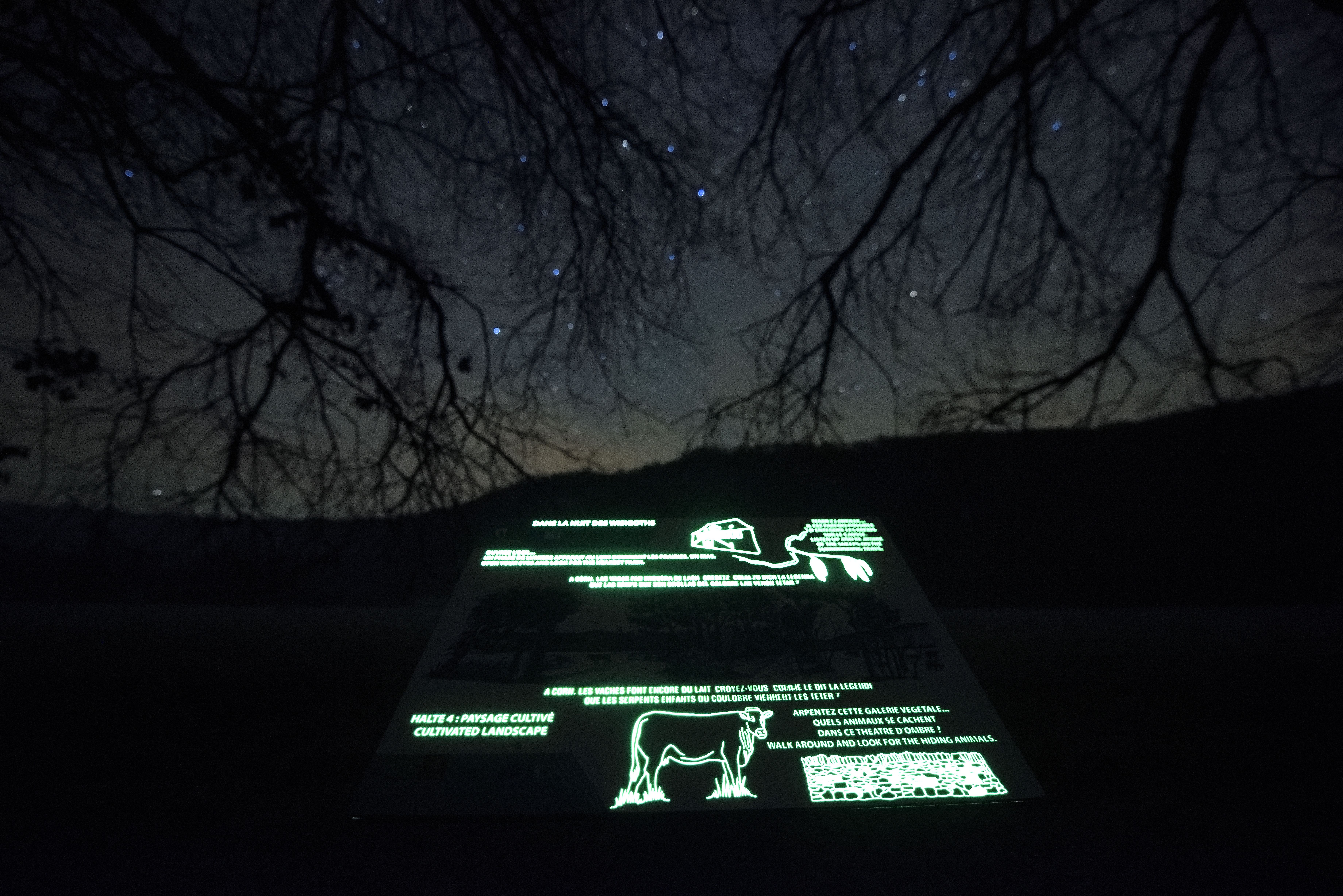 Sentier nocturne Corn 