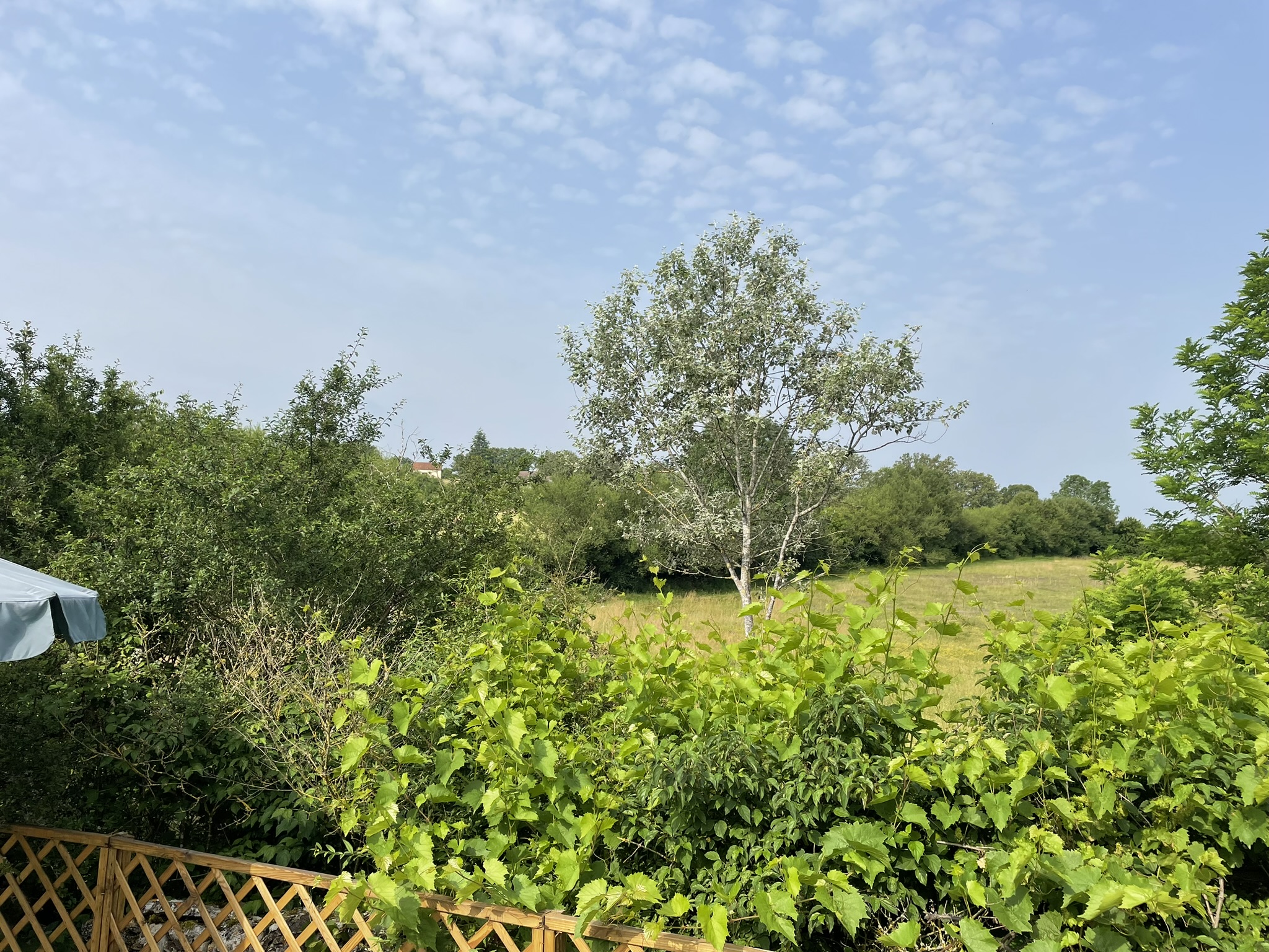 Sous les Etoiles La Crouzette, Le Bastit - photo 8