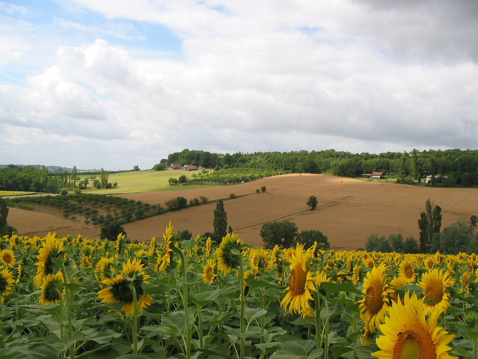 Sur la Route des Moulins