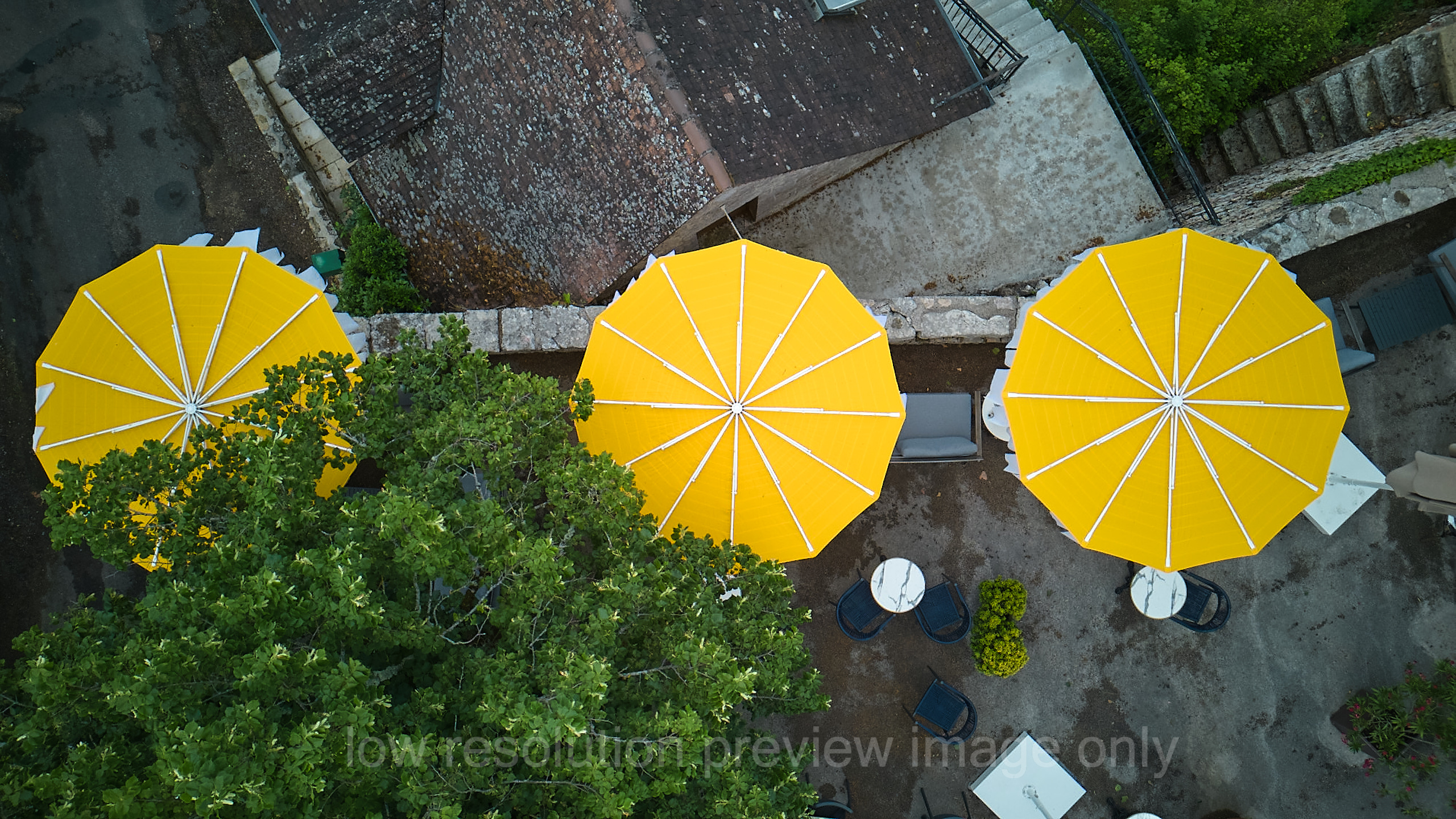 Brasserie Le Salon 1799, Loubressac - photo 9