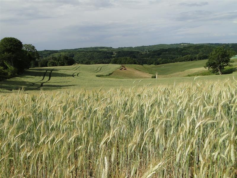 TERROU-paysage
