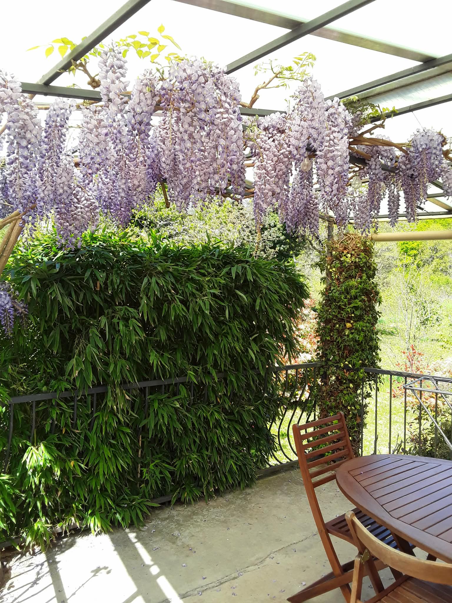 Petite Maison avec glycine, Montcléra - photo 12