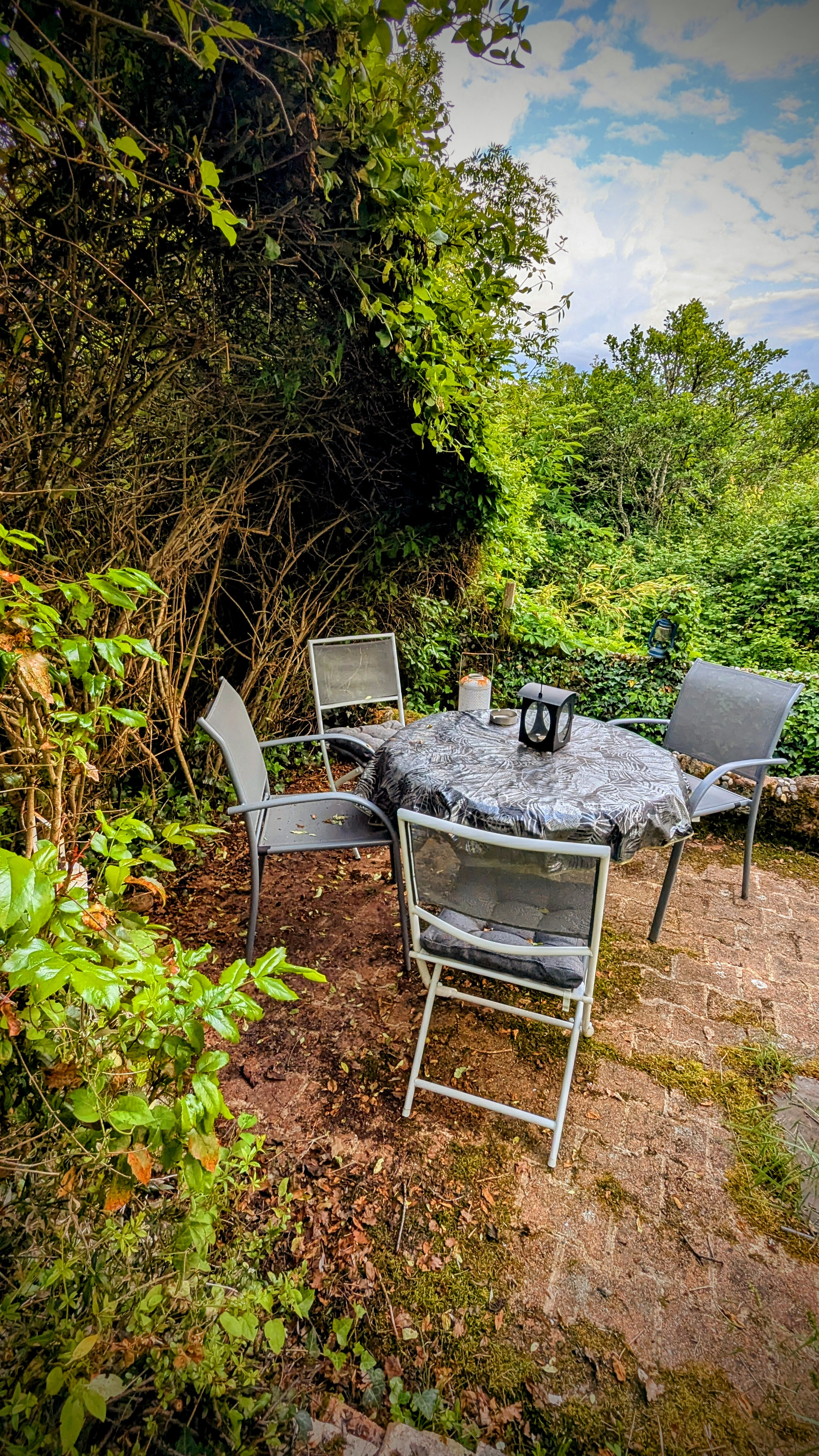 Terrasse et jardin privés