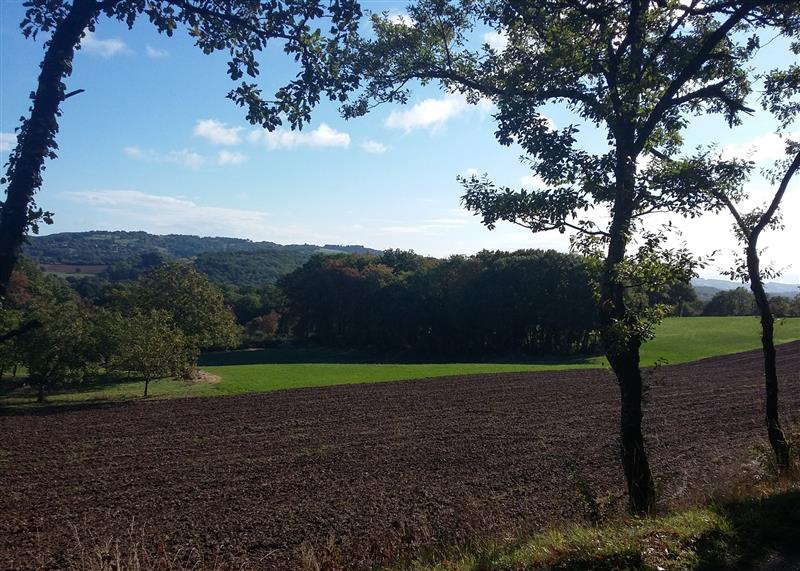 Terres cultivées - paysages du Limargues_09 © Lot Tourisme - A. Leconte