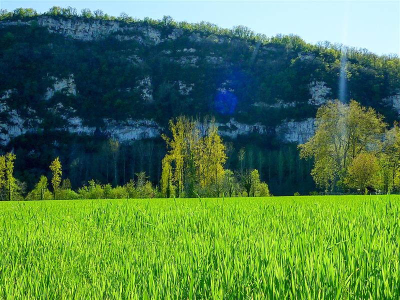 Teulière - Grandes étendues verdoyante © Lot Tourisme - C. Sanchez