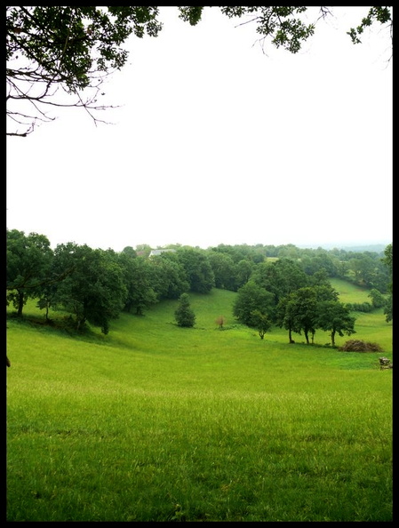Les terroirs des noyers