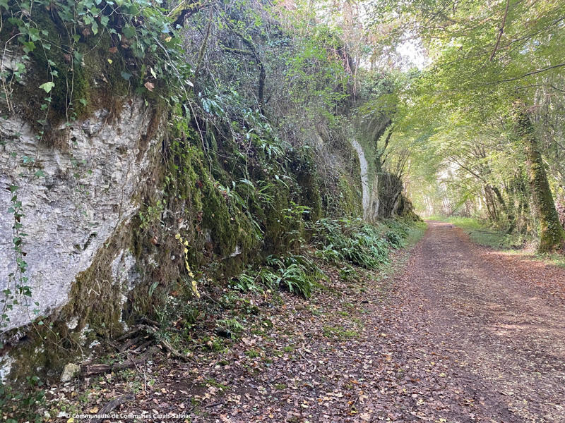 Au gré de la Thèze, Frayssinet-le-Gélat - photo 4