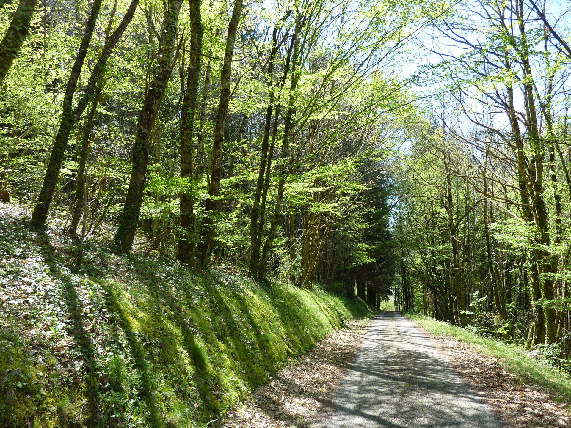 Le Sentier des Arts, Latouille-Lentillac - photo 19