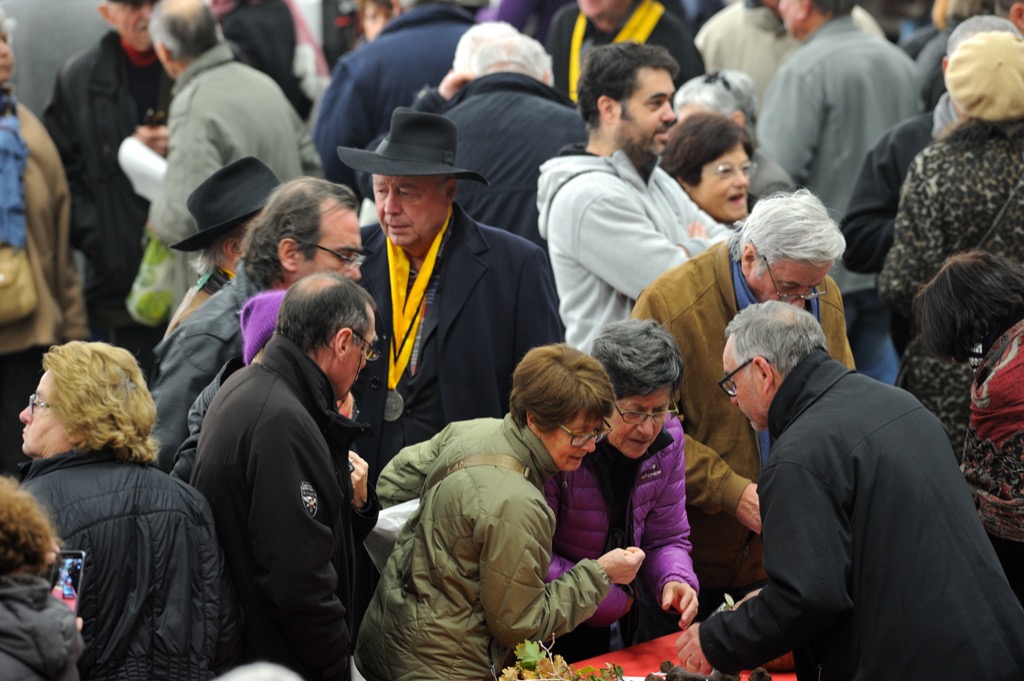 Marché aux truffes de Cuzance, Cuzance - photo 5
