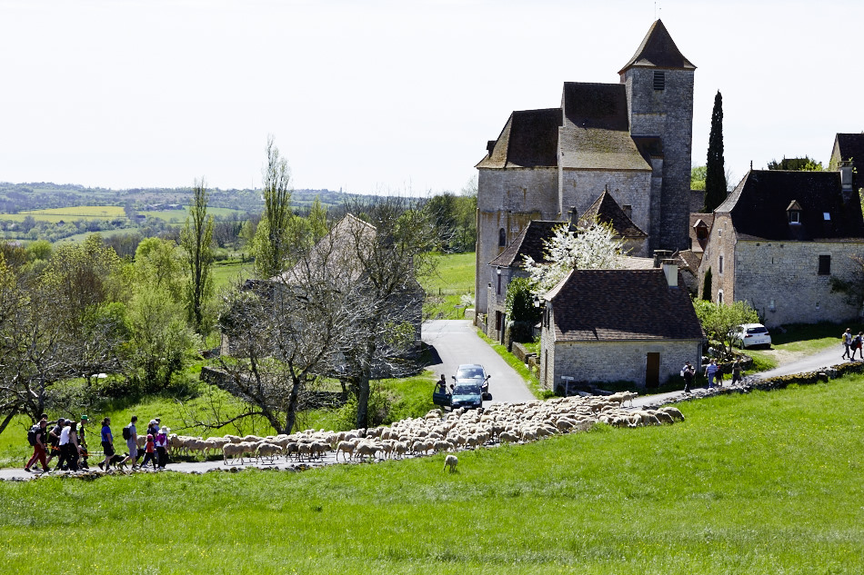 Transhumance Rocamadour - Luzech : étape Séniergues - Frayssinet le Gourdonnais