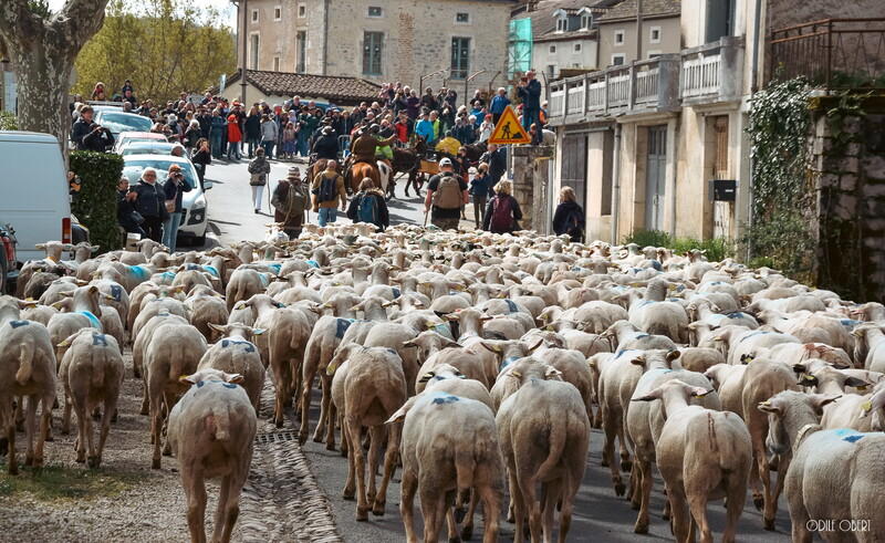 Perola, Payrac - photo 43