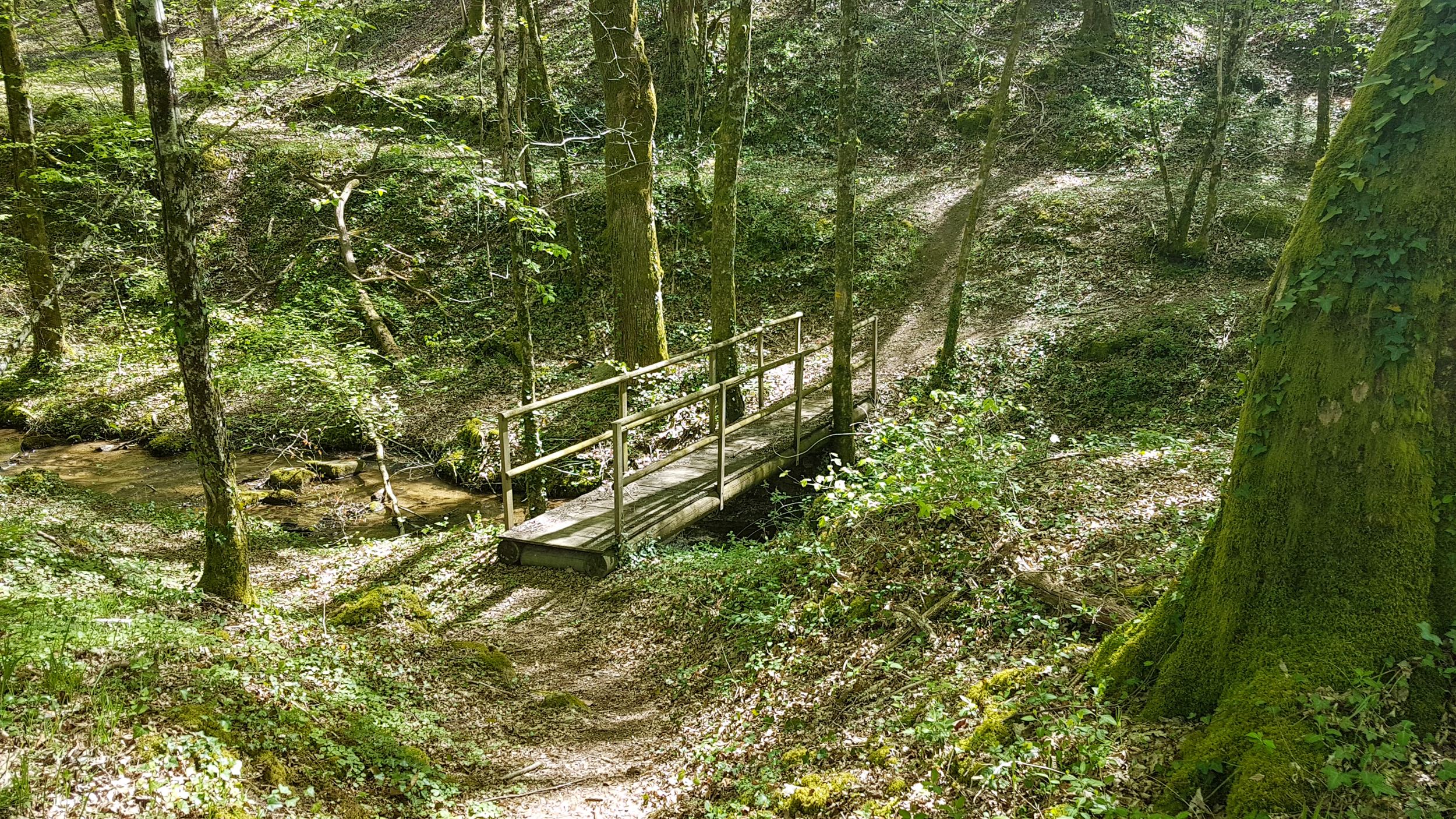 De Teyssieu à Estal, Teyssieu - photo 12